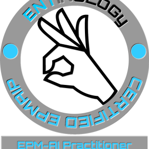 epm ai practitioner certification