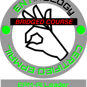 epm ai project leader bridged certification