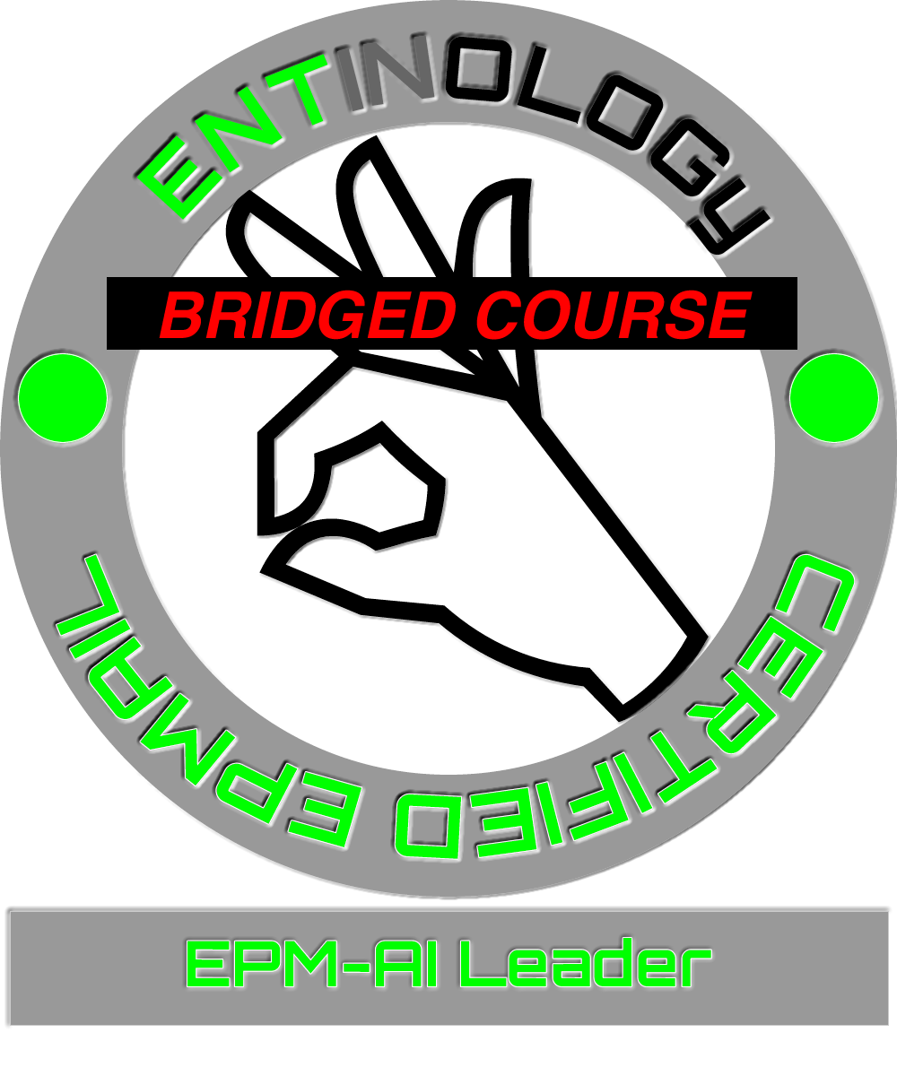 epm ai project leader bridged certification epm ai project leader bridged certification